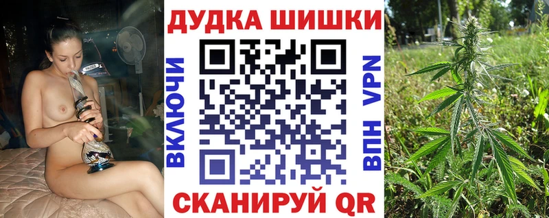 Купить  Старица  Шишки марихуана сатива 